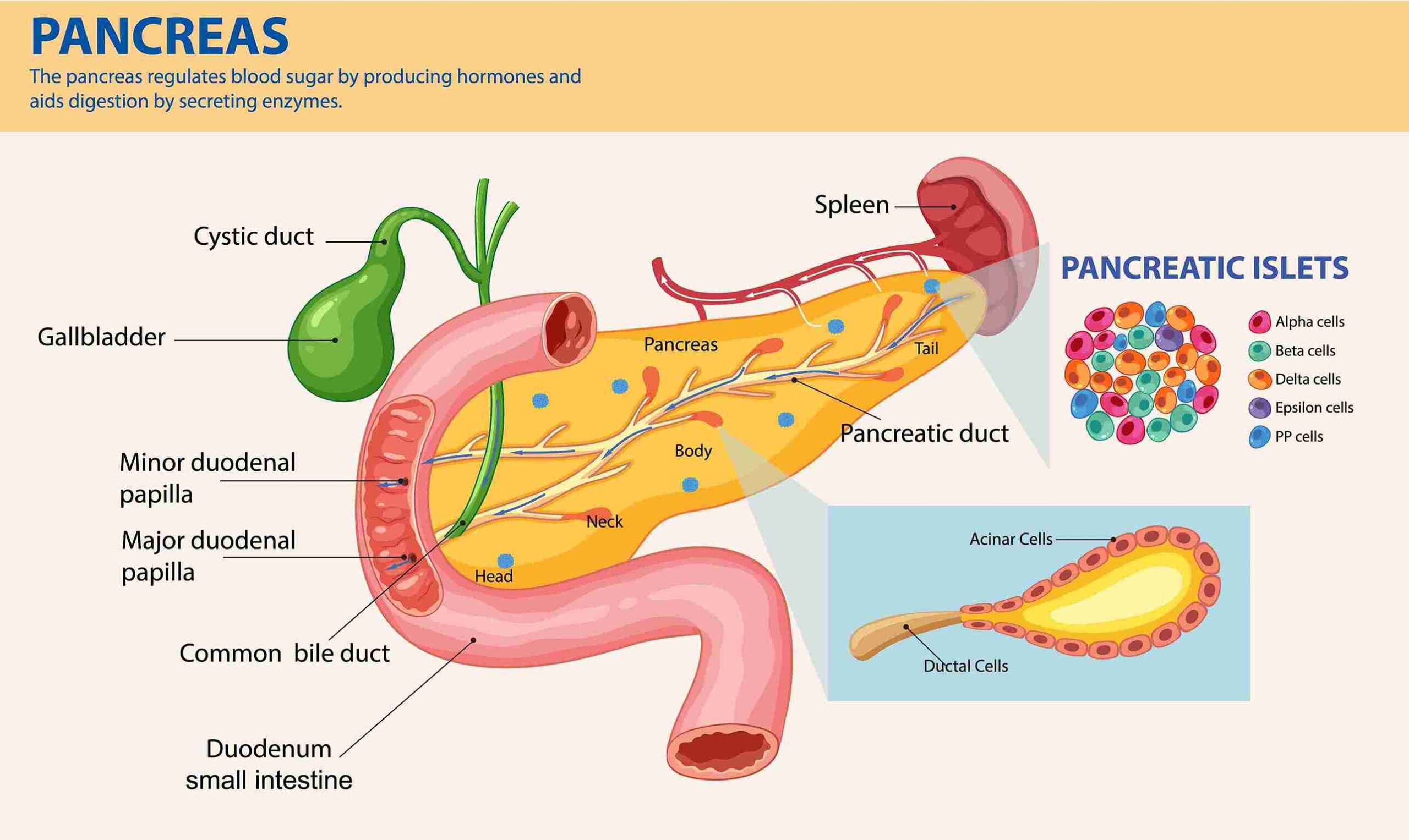 Gallstone treatment